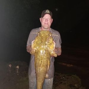 Meet your Posher, Shaun